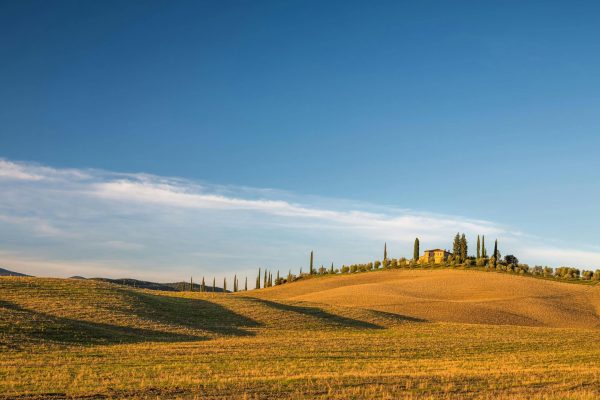 Recorrido por las Colinas de la Toscana: Florencia, Siena y San Gimignano
