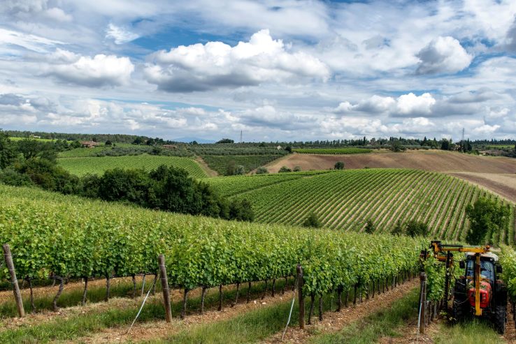 pexels-wolfgang-weiser-467045605-23441101